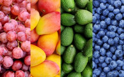 Blog 9 1 Agroexportaciones en Perú crecen durante el 2023
