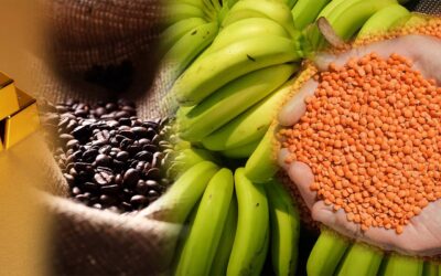 Blog 1 1 Exportaciones en América: Panorama general 2023