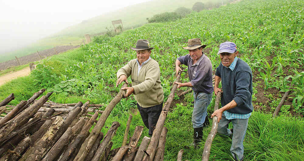 El sector agrícola en Colombia
