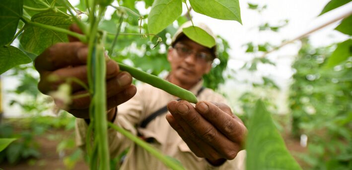 El sector agrícola en Colombia
