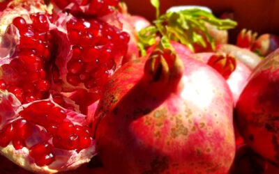 Blog 1 1 La granada peruana: un éxito exportador con desafíos logísticos frescos