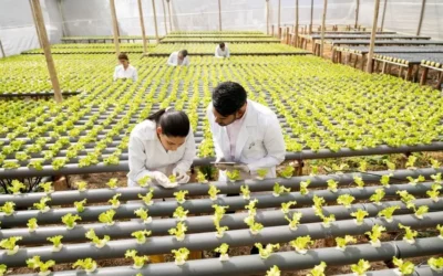 Cadena de suministro agroindustrial: eficiencia, trazabilidad y sostenibilidad del campo al cliente