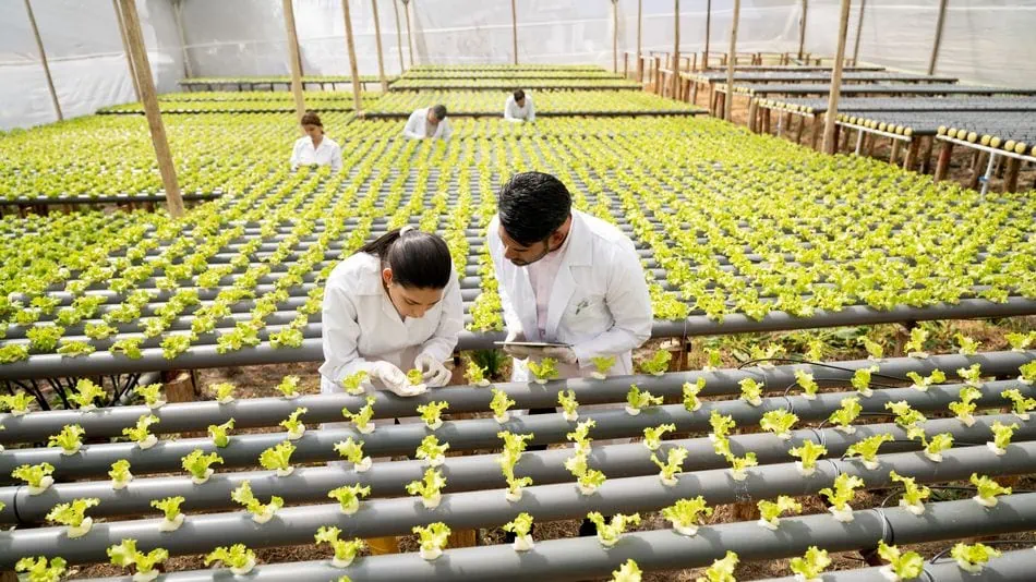 Cadena de suministro agroindustrial: eficiencia, trazabilidad y sostenibilidad del campo al cliente