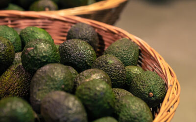 ¿Por qué crece la exportación de palta peruana en 2026? Análisis y proyecciones