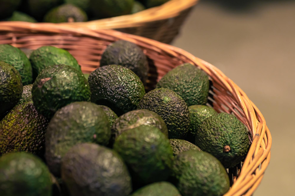 ¿Por qué crece la exportación de palta peruana en 2026? Análisis y proyecciones